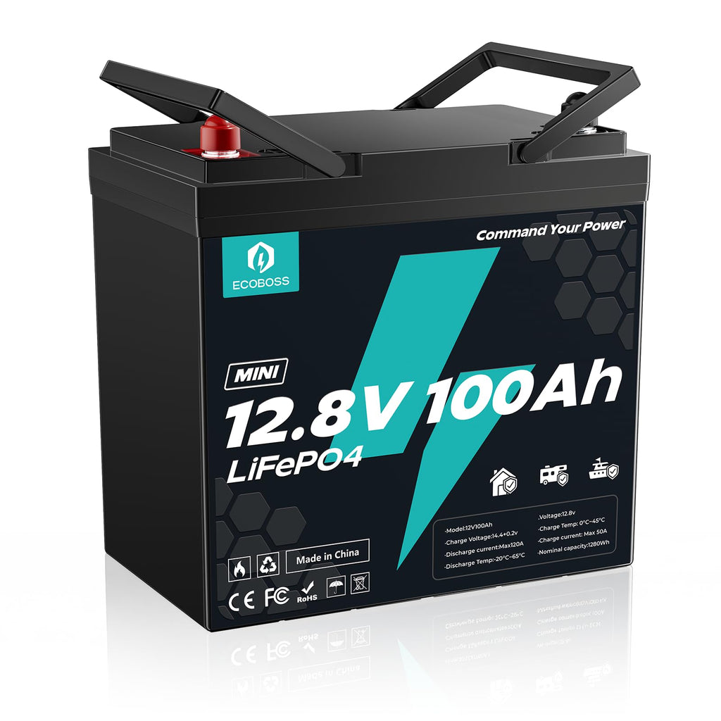12V 100Ah LiFePO4 Battery X829