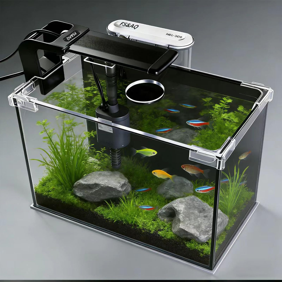 2.5 Gallon Betta Fish Tank with Filter Light and Lid H436440