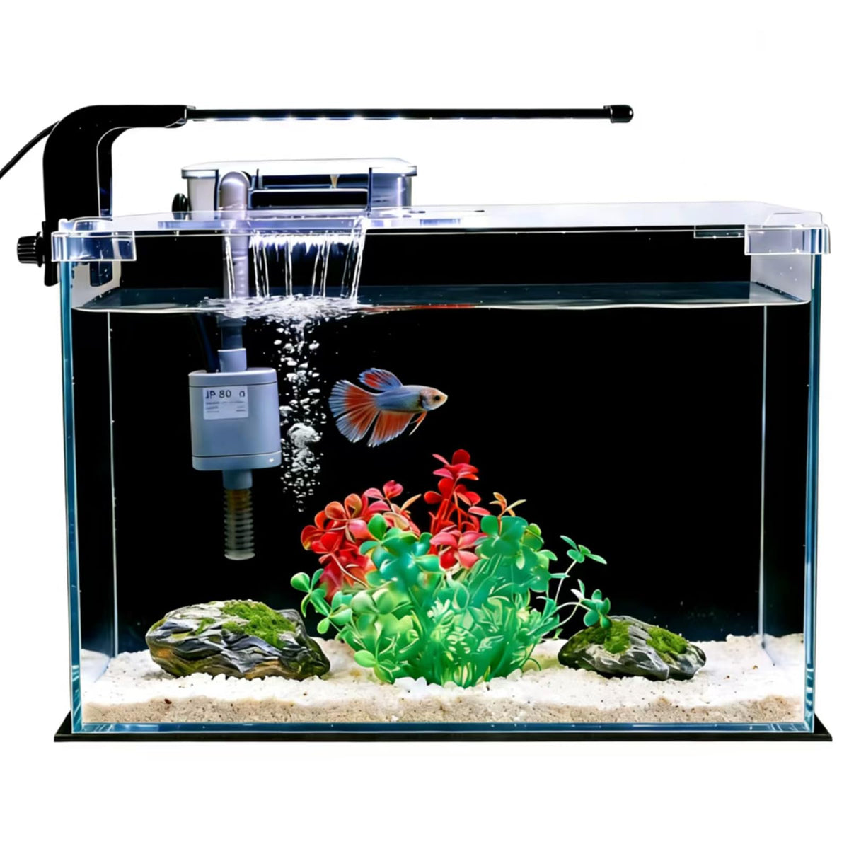 2.5 Gallon Betta Fish Tank with Filter Light and Lid H436440