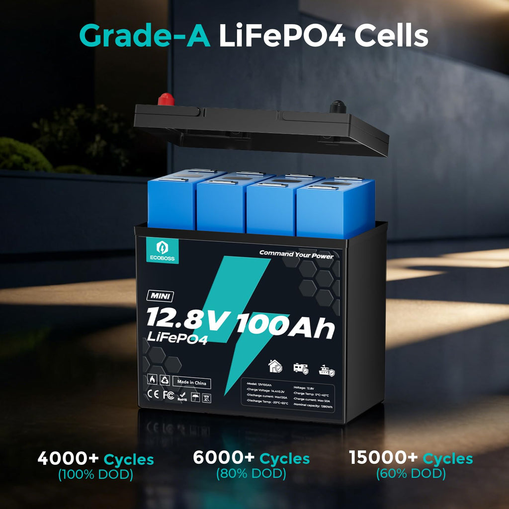 12V 100Ah LiFePO4 Battery X829