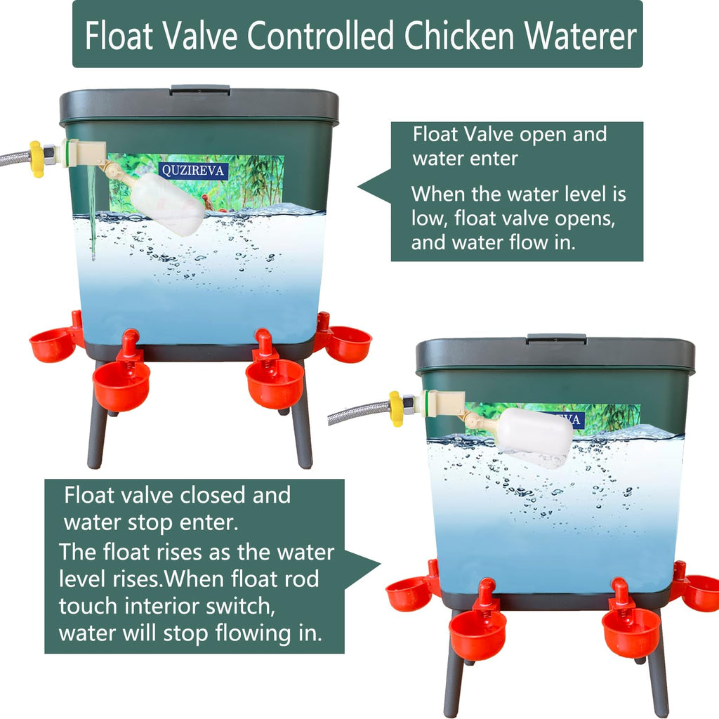 4 Gallon Automatic Float Controlled Poultry Waterer with Hose and Cups P602826
