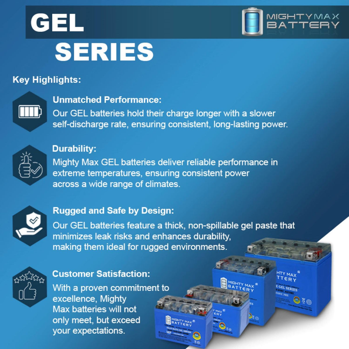 12v 11.2AH 230CCA GEL Battery F11726