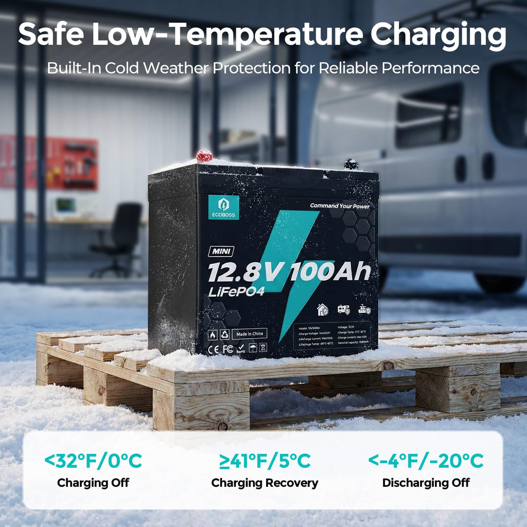 12V 100Ah LiFePO4 Battery X829