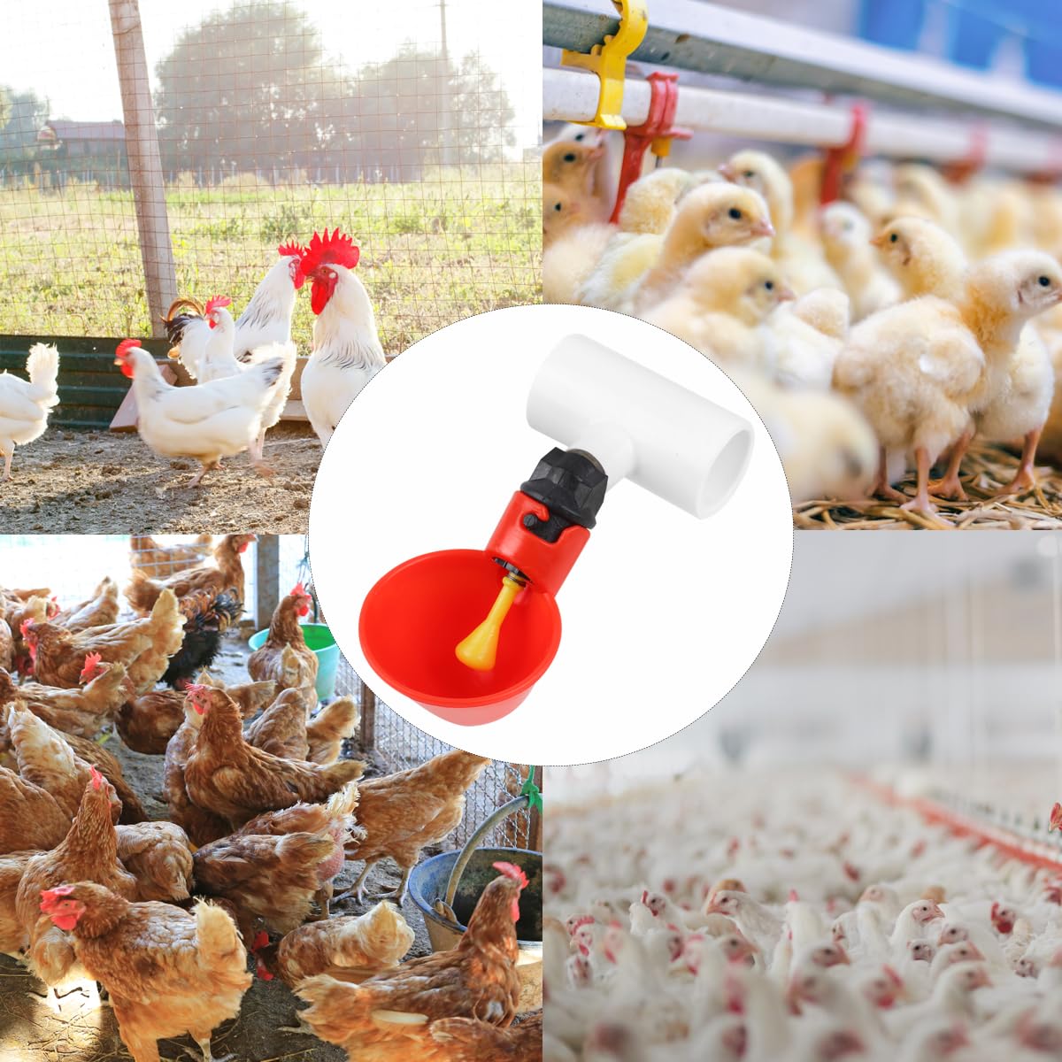 12 Pack Automatic Plastic Chicken Waterer Cups H73064