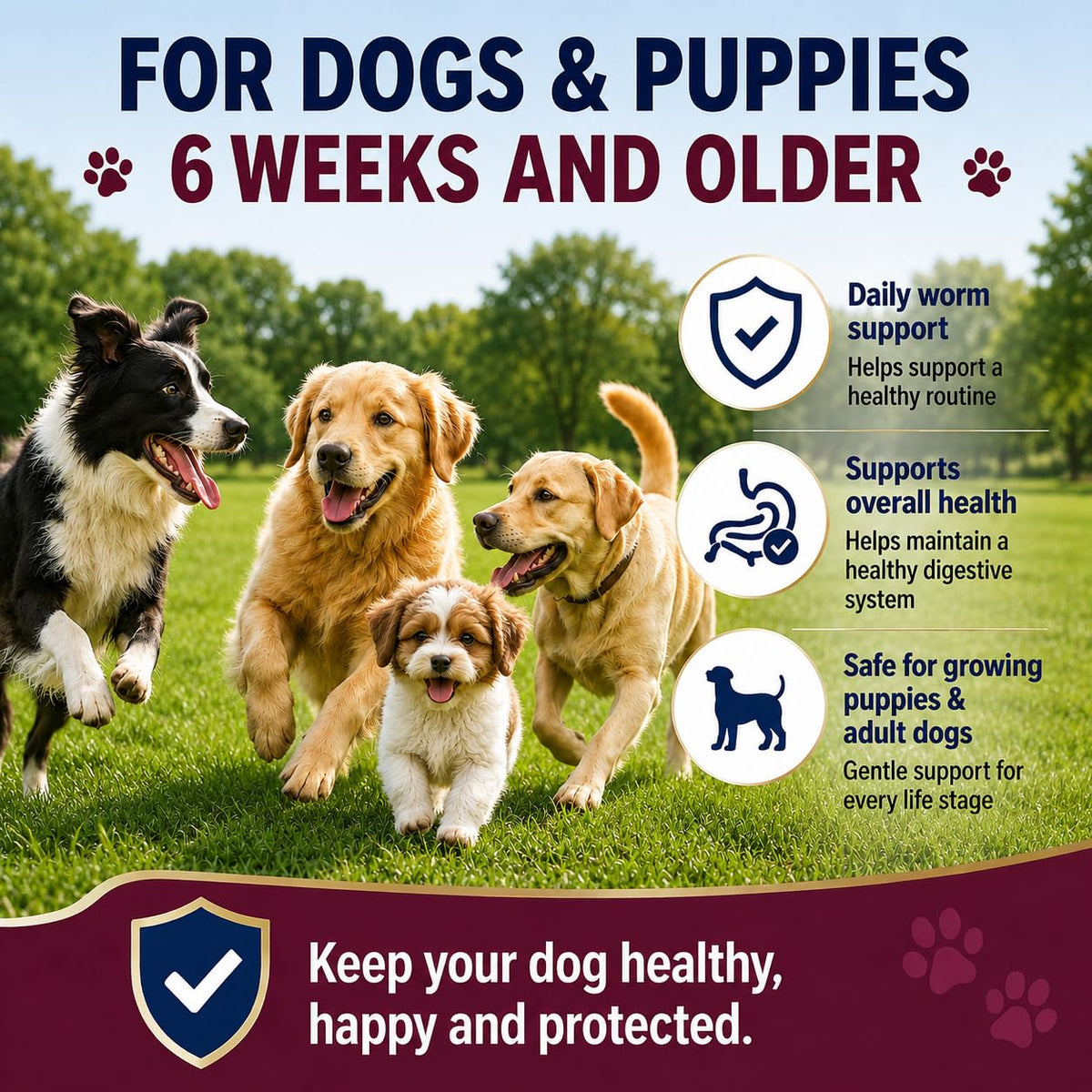 Dewormer for Dogs, 50 Tablets S10225