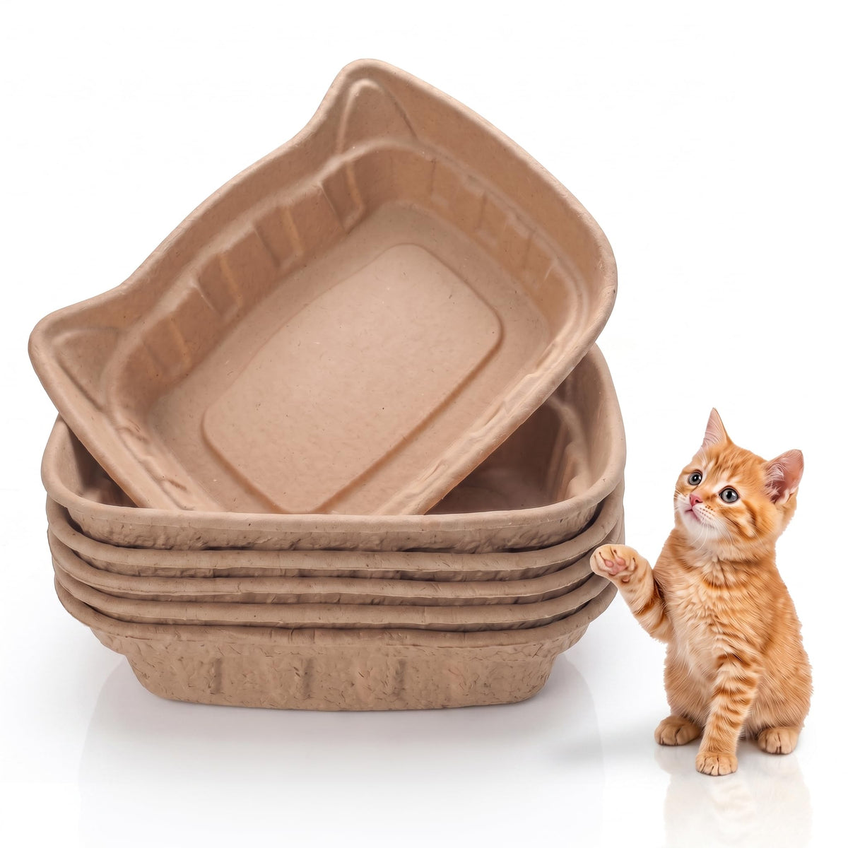 6 Pack Jumbo Disposable Kitten Litter Box R444249