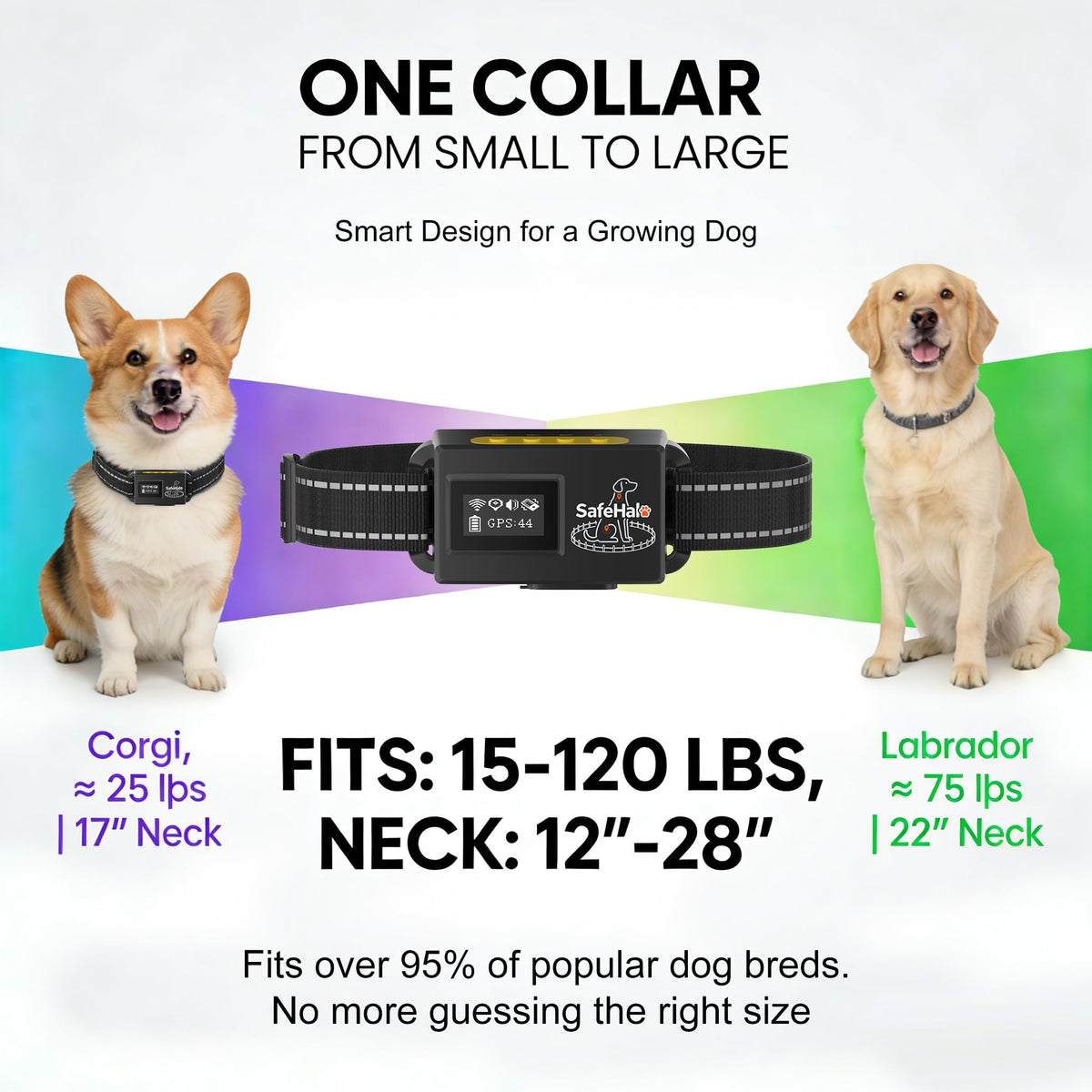 Wireless GPS Dog Fence Collar, 65–9,840 ft Radius, IPX7 Waterproof M789