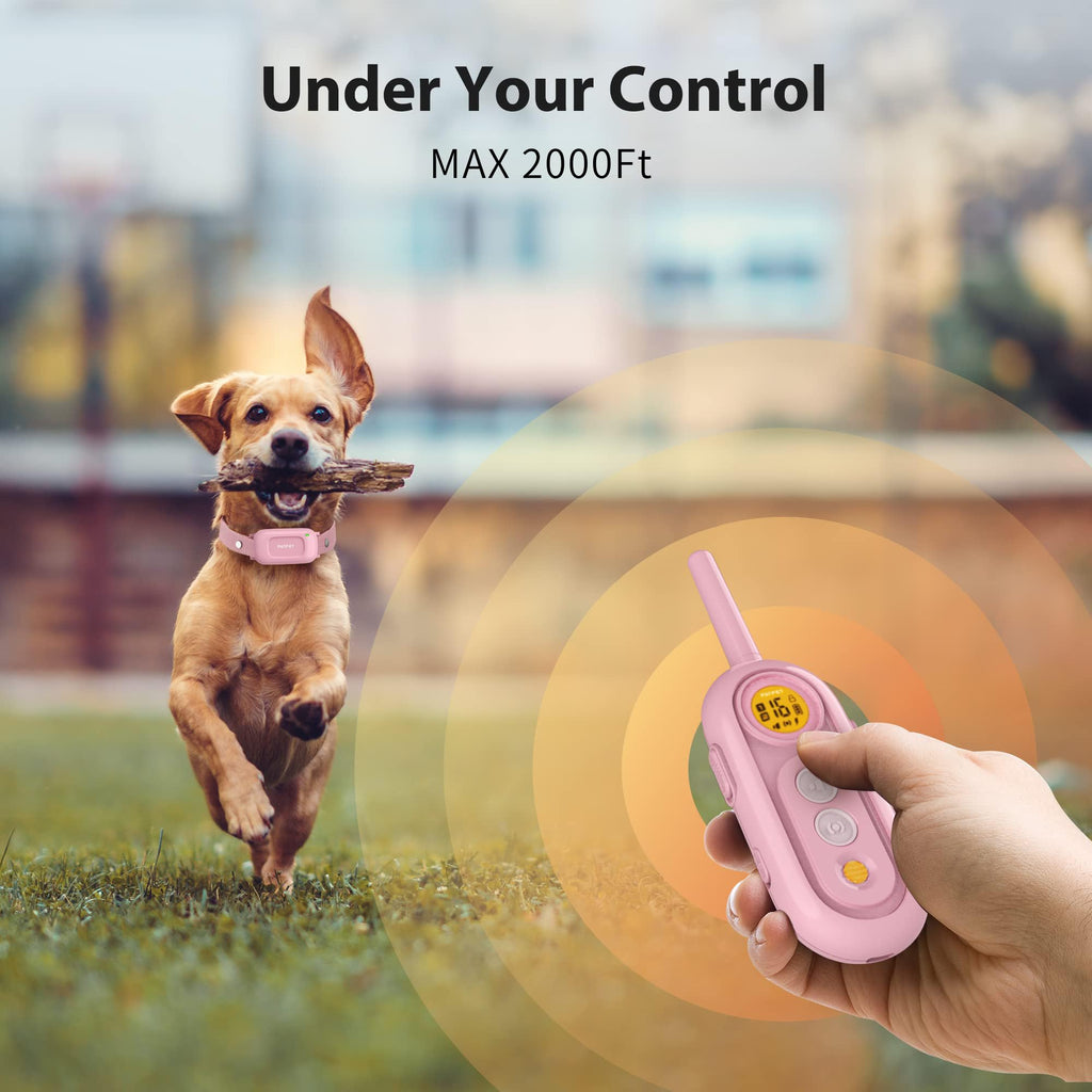 Rechargeable IPX7 Waterproof Dog Training Collar with Remote L134365