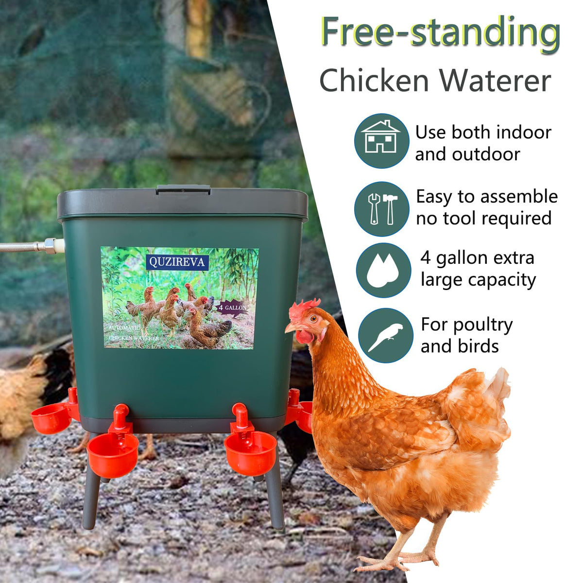 4 Gallon Automatic Float Controlled Poultry Waterer with Hose and Cups P602826