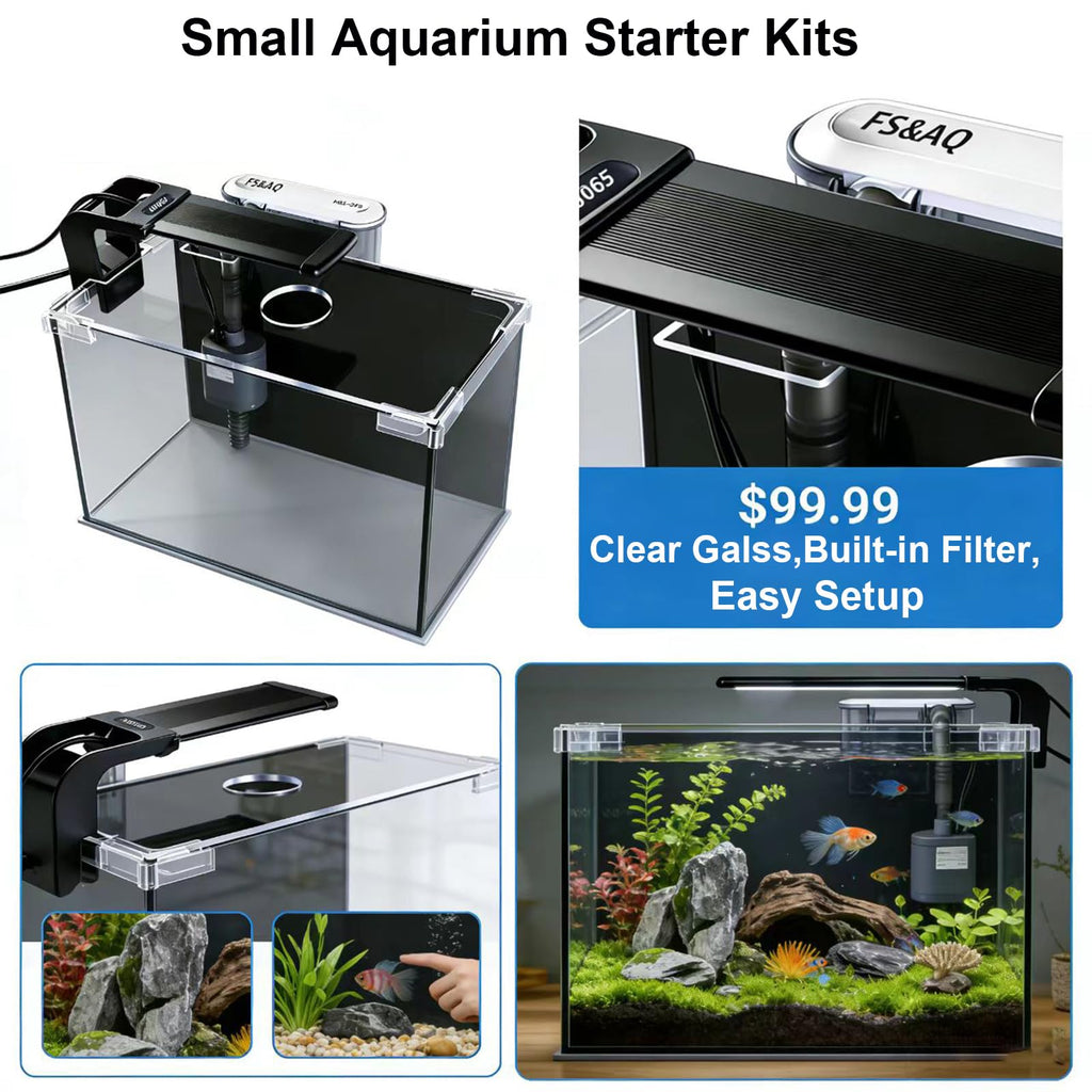 2.5 Gallon Betta Fish Tank with Filter Light and Lid H436440