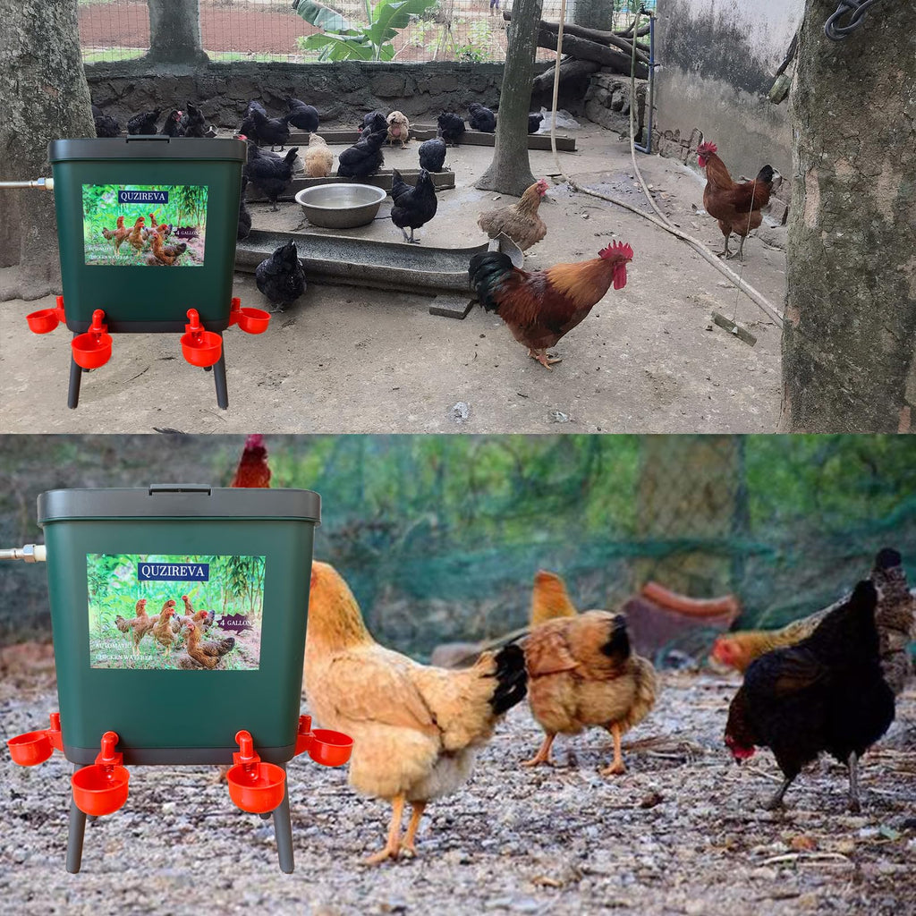 4 Gallon Automatic Float Controlled Poultry Waterer with Hose and Cups P602826