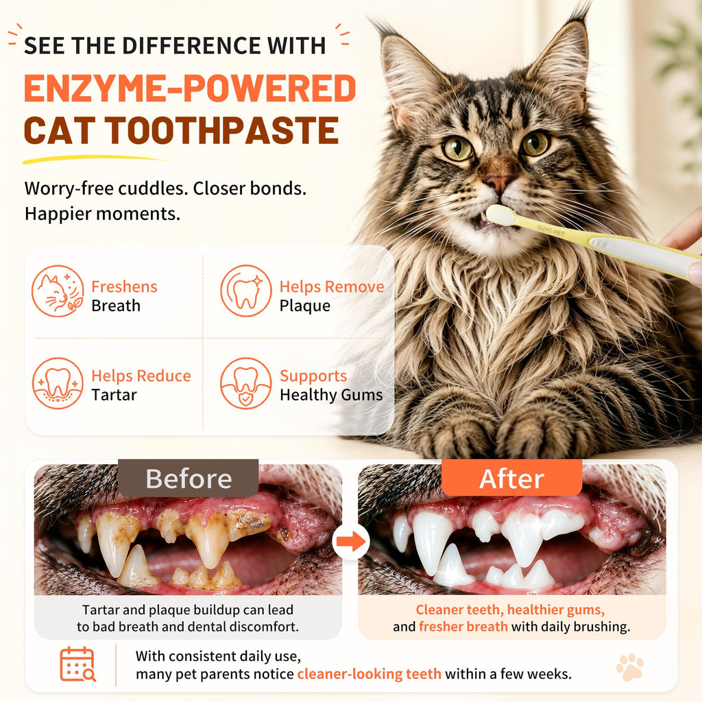 55g Roasted Chicken Enzymatic Cat Tooth Brushing Kit with Soft Bristles Toothbrush & Finger Brush D464