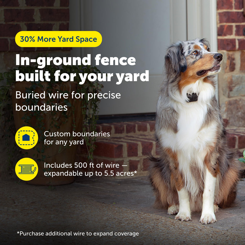 In-Ground Fence R336060