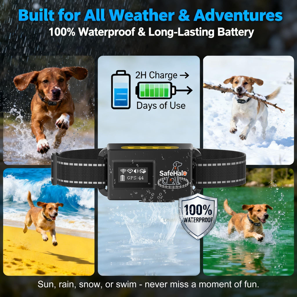 Wireless GPS Dog Fence Collar, 65–9,840 ft Radius, IPX7 Waterproof M789
