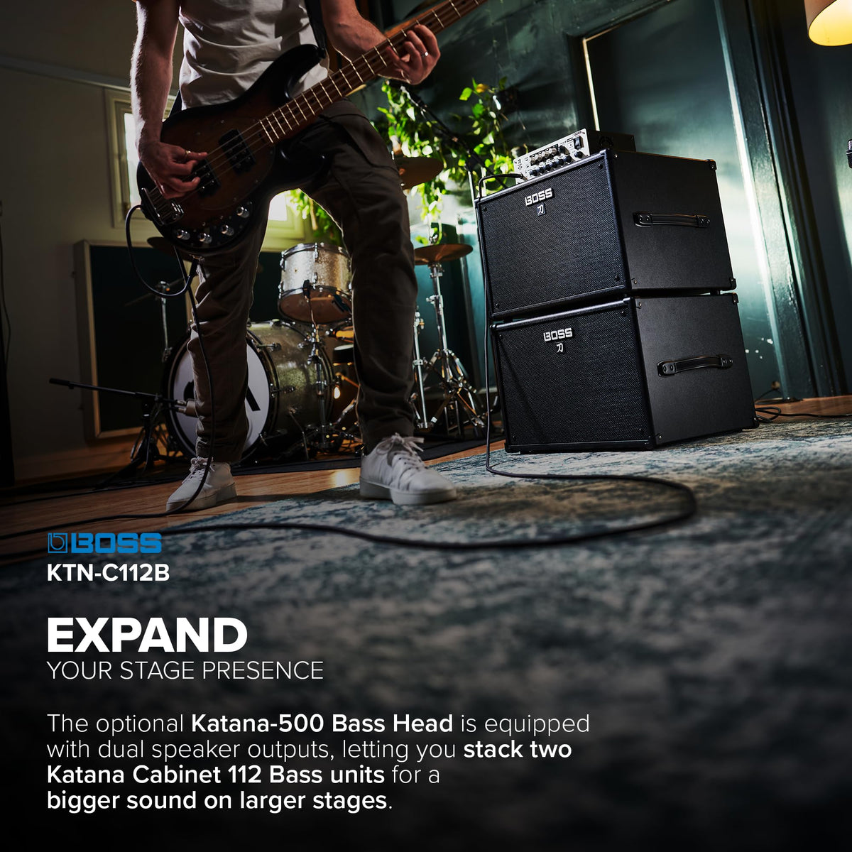 Bass Speaker Cabinet D440