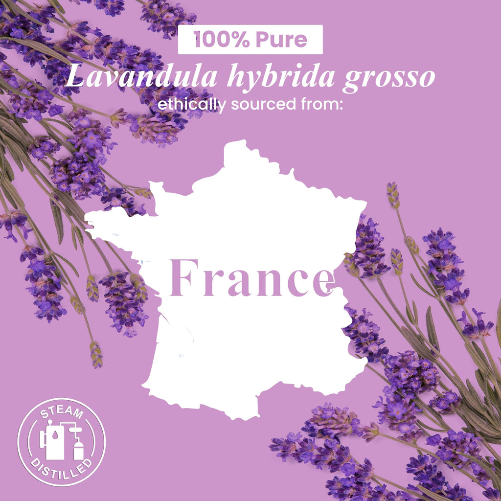 Lavender and Orange Essential Oils 2 x 4 Fl Oz E5580
