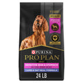 Sensitive Skin & Stomach Dry Dog Food, Lamb, 24 lb Bag L717