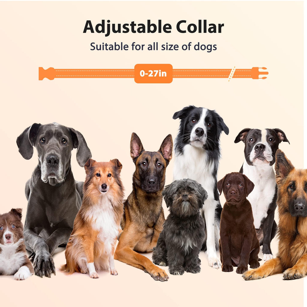 Rechargeable IPX7 Waterproof Dog Training Collar with Remote L134365