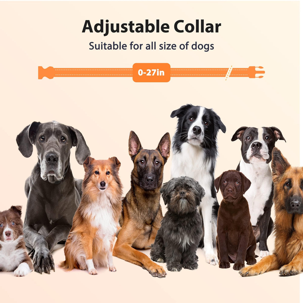 Rechargeable IPX7 Waterproof Dog Training Collar with Remote L134365