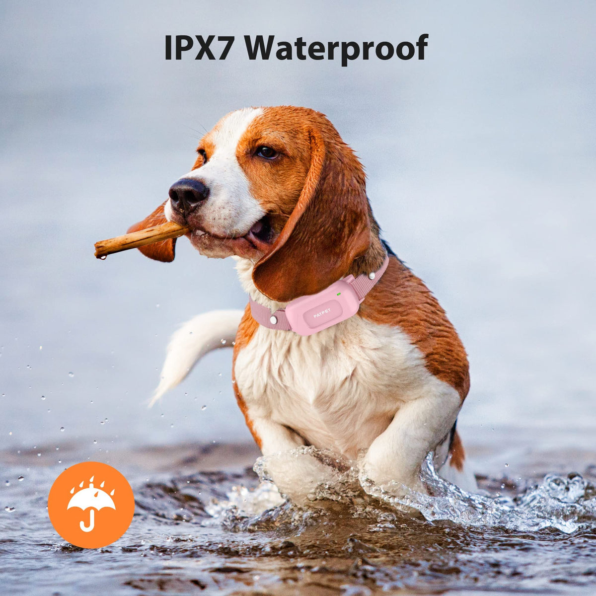 Rechargeable IPX7 Waterproof Dog Training Collar with Remote L134365