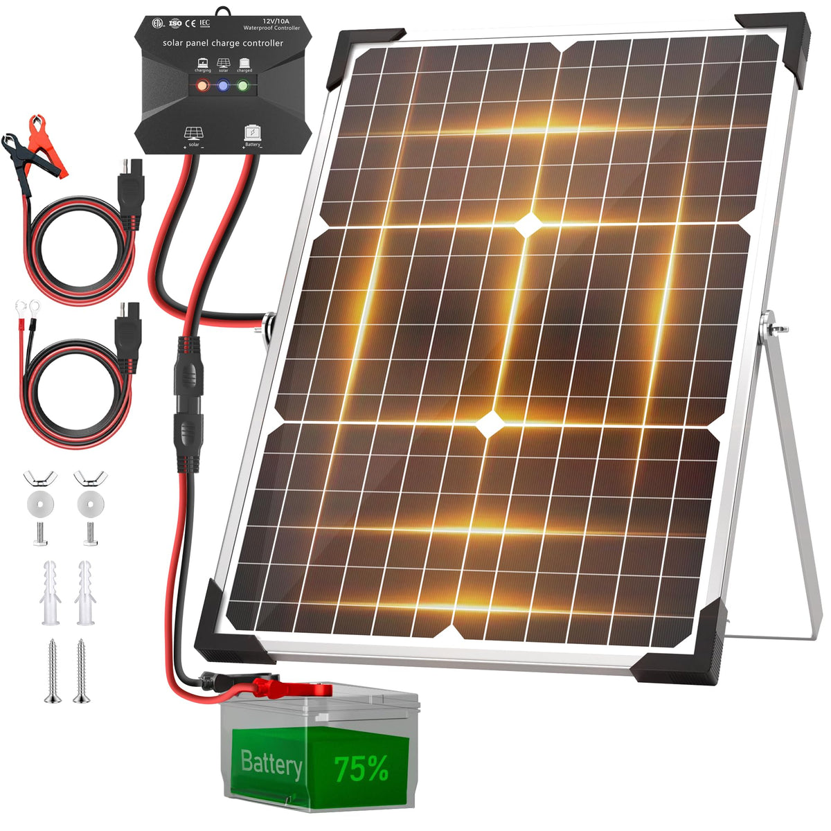 30W 12V Solar Panel Battery Charger Kit T119298