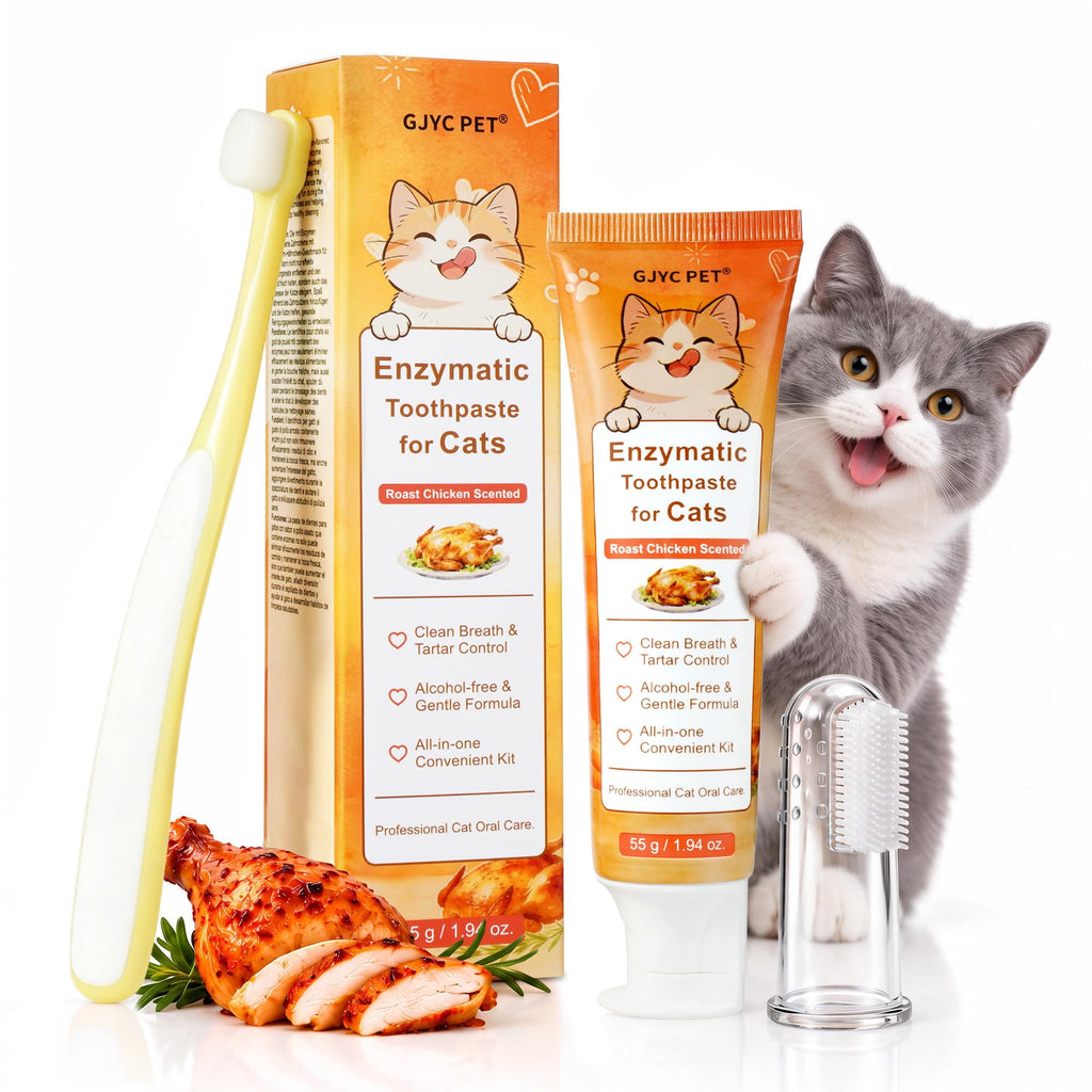 55g Roasted Chicken Enzymatic Cat Tooth Brushing Kit with Soft Bristles Toothbrush & Finger Brush D464