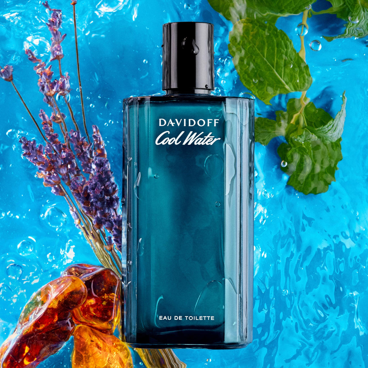 Aromatic Eau de Toilette J346